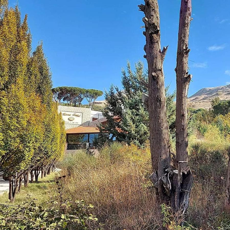 Rami Hotel Fālūghā Bagian luar foto