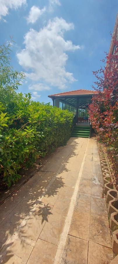 Rami Hotel Fālūghā Bagian luar foto